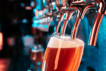 Image showing Bartender pouring a large lager beer in tap