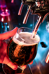 Image showing Hand of bartender pouring a large ale, porter, stout beer in tap
