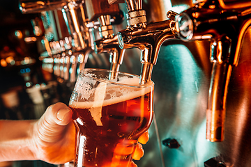 Image showing Hand of bartender pouring a large lager beer in tap