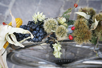 Image showing Autumn decoration