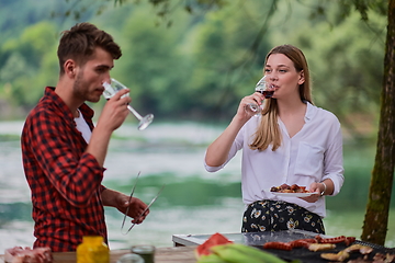 Image showing friends toasting red wine glass while having picnic french dinner party