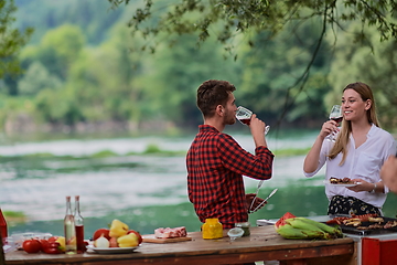 Image showing friends toasting red wine glass while having picnic french dinner party