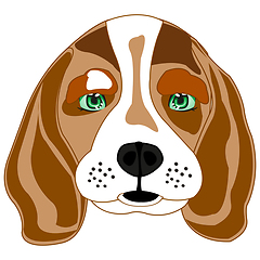 Image showing Dog beagle on white background is insulated