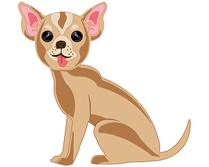 Image showing Decorative dog chihuahua on white background is insulated