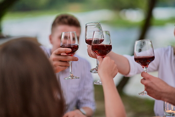Image showing friends toasting red wine glass while having picnic french dinner party