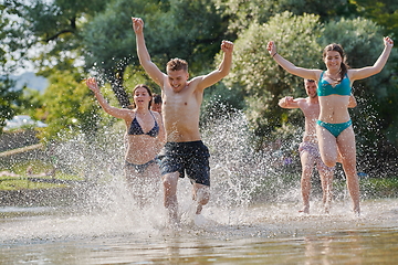 Image showing group of happy friends having fun on river