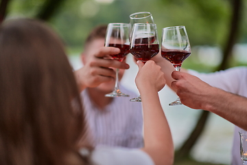 Image showing friends toasting red wine glass while having picnic french dinner party