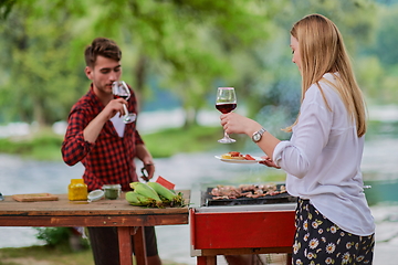 Image showing friends toasting red wine glass while having picnic french dinner party