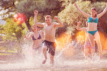 Image showing group of happy friends having fun on river