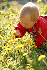 Image showing Child