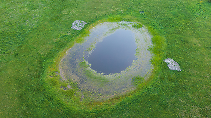 Image showing Springtime waterhole in fresh green meadow