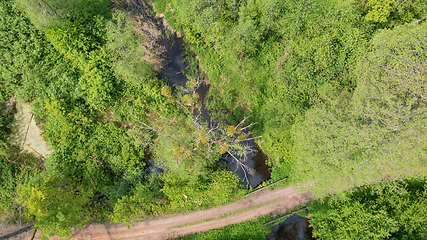 Image showing Forest river crosing riparian tree stand