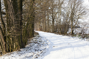 Image showing Winter time of the year