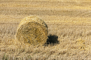 Image showing One haystack