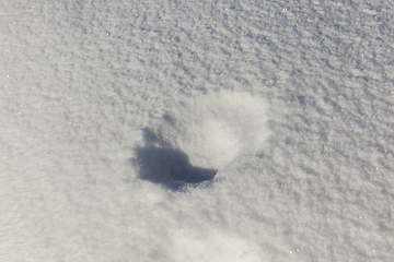 Image showing After snowfall