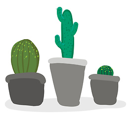 Image showing Beautiful indoor decoration of small cactus pots provides extra 