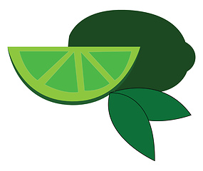 Image showing Gree lime slice with green leaves  vector illustration on white 