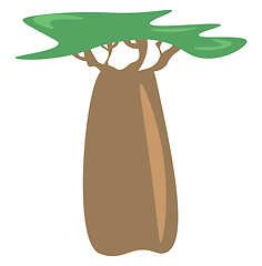 Image showing A boabab tree vector or color illustration