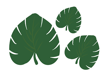 Image showing Cartoon tropical green leaves/Three palm leaves vector or color 