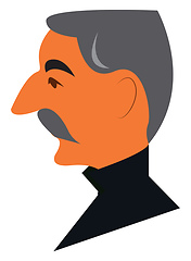 Image showing Side view of a man\'s face with grey mustache and hair wearing a 