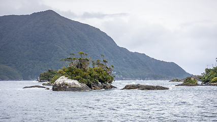 Image showing Doubtful Sound Fiordland National Park Impressions New Zealand