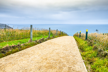 Image showing Path to Tunnel Beach New Zealand