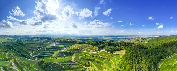 Image showing aerial view vineyard scenery at Kaiserstuhl Germany