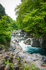 Image showing Kanmangafuchi abyss, Nikko, Japan