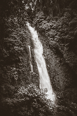 Image showing Melanting Waterfall, Munduk, Bali, Indonesia