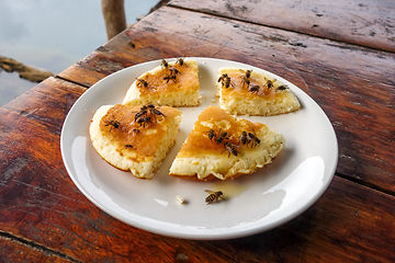 Image showing Wasps on a pancake, Thailand