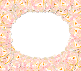 Image showing frame from pink tender tulips