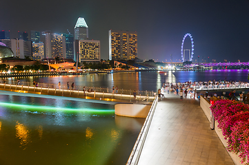 Image showing Tourists walking Flyer Singapore embankment