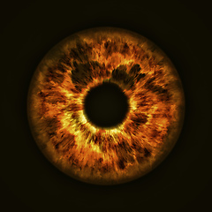 Image showing golden eye iris