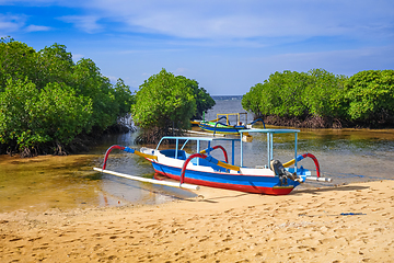 Image showing Mangrove beach, Nusa Lembongan island, Bali, Indonesia