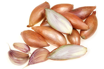 Image showing Scallion