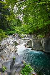 Image showing Kanmangafuchi abyss, Nikko, Japan