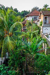 Image showing Houses in jungle, Ubud, Bali, Indonesia