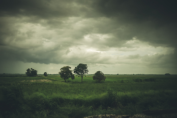 Image showing Field in the storm, Chiang Mai, Thailand