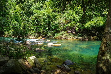 Image showing River in jungle rainforest, Khao Sok, Thailand