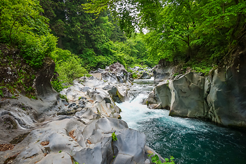 Image showing Kanmangafuchi abyss, Nikko, Japan