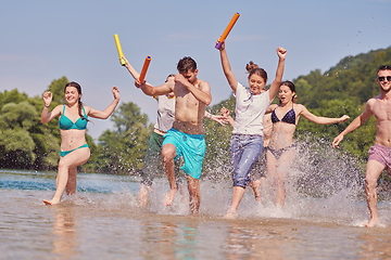 Image showing group of happy friends having fun on river