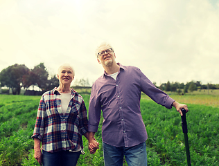 Image showing happy senior couple at summer farm
