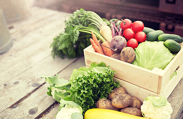 Image showing close up of vegetables on farm