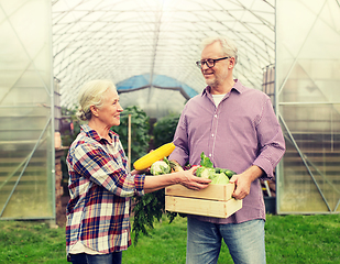 Image showing senior couple with box of vegetables on farm