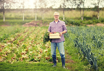 Image showing old man with box of vegetables at farm garden