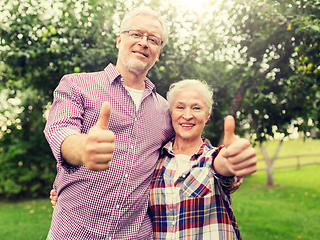 Image showing happy senior couple hugging at summer garden