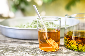 Image showing verbena tea on old wooden planks