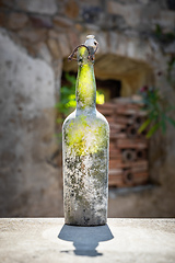 Image showing dirty old wine bottle