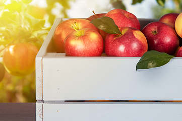 Image showing Red apples in wooden box on table