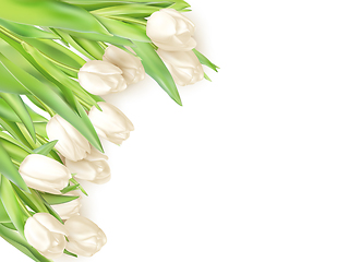 Image showing Bouquet of white tulips. EPS 10